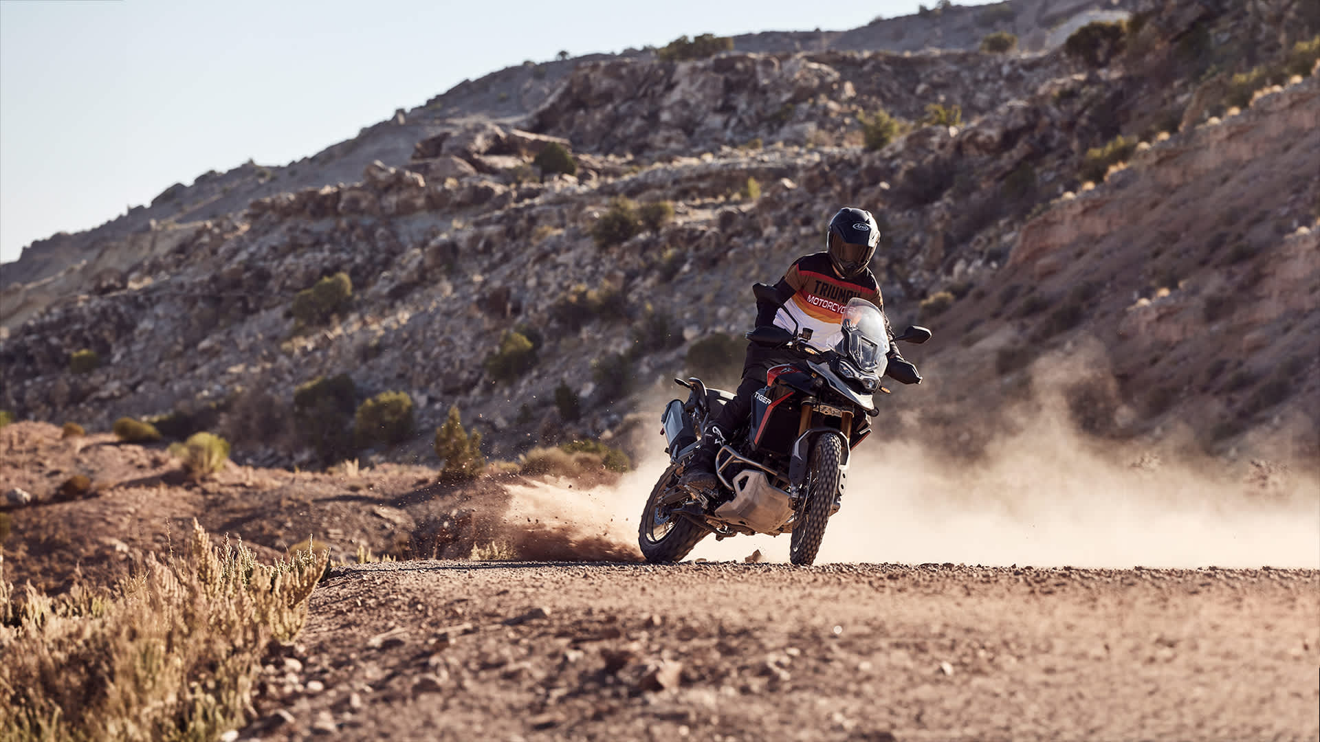 Tiger 900 off road online